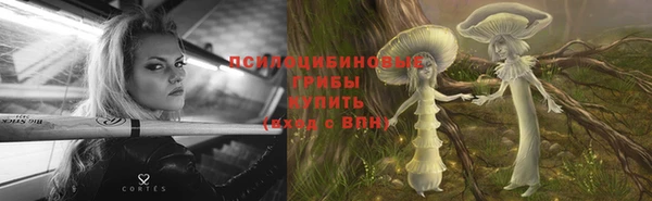 сатива Белокуриха