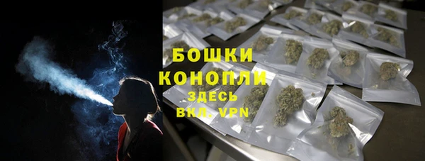 сатива Белокуриха