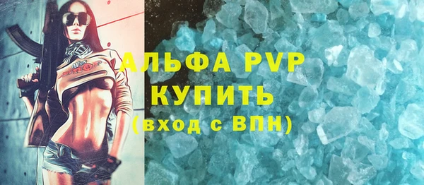 сатива Белокуриха