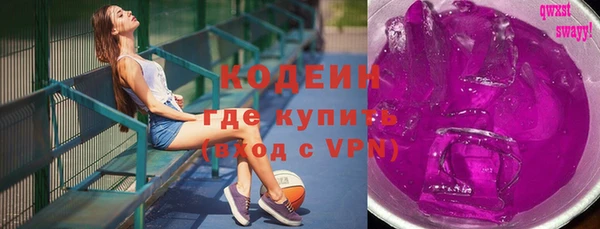 дживик Богородск