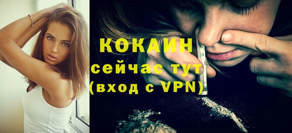 сатива Белокуриха