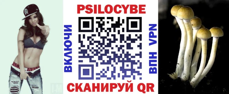 Псилоцибиновые грибы Psilocybine cubensis  ОМГ ОМГ зеркало  Волчанск 