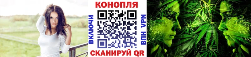 где можно купить наркотик  Волчанск  Канабис семена 